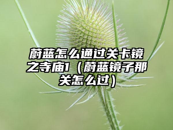 蔚蓝怎么通过关卡镜之寺庙1（蔚蓝镜子那关怎么过）