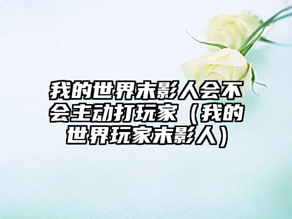 我的世界末影人会不会主动打玩家（我的世界玩家末影人）
