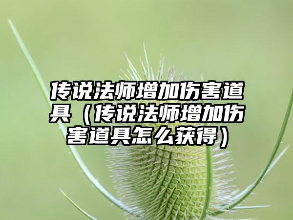 传说法师增加伤害道具（传说法师增加伤害道具怎么获得）