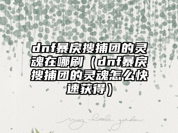 dnf暴戾搜捕团的灵魂在哪刷（dnf暴戾搜捕团的灵魂怎么快速获得）
