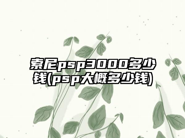 索尼psp3000多少钱(psp大概多少钱)