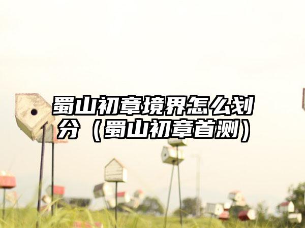 蜀山初章境界怎么划分（蜀山初章首测）