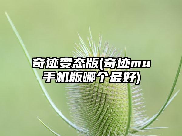 奇迹变态版(奇迹mu手机版哪个最好)