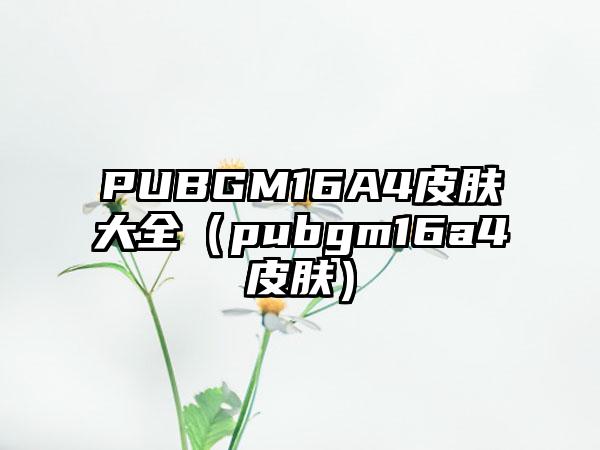 PUBGM16A4皮肤大全（pubgm16a4皮肤）
