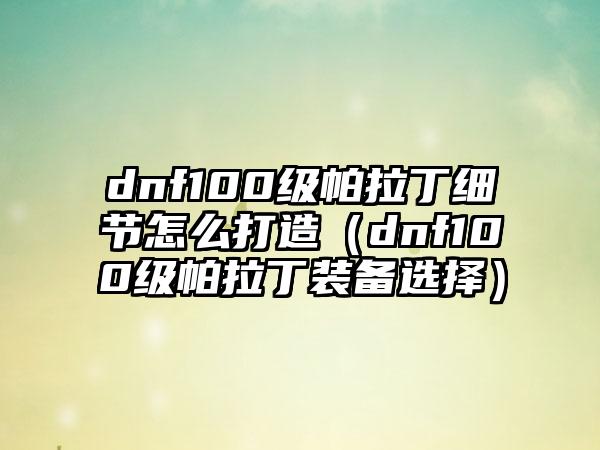 dnf100级帕拉丁细节怎么打造（dnf100级帕拉丁装备选择）