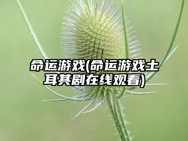 命运游戏(命运游戏土耳其剧在线观看)