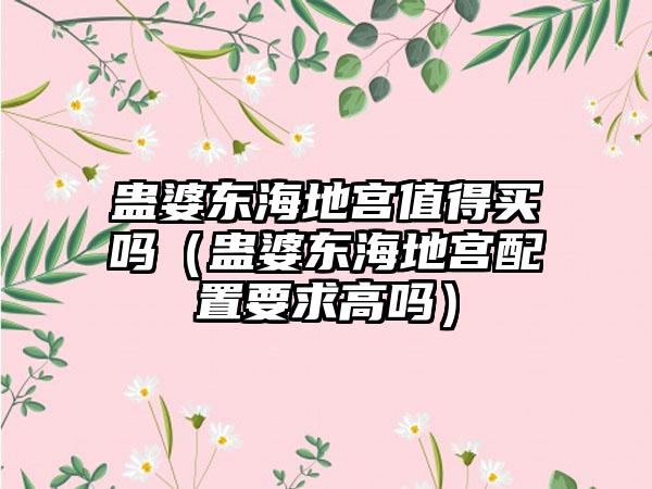 蛊婆东海地宫值得买吗（蛊婆东海地宫配置要求高吗）