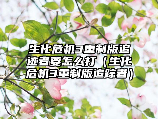 生化危机3重制版追迹者要怎么打（生化危机3重制版追踪者）