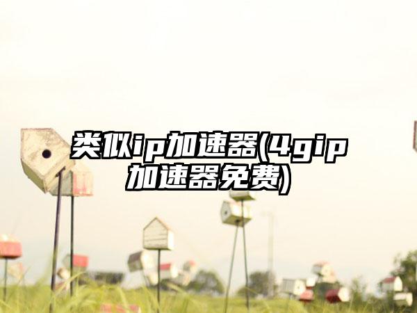 类似ip加速器(4gip加速器免费)