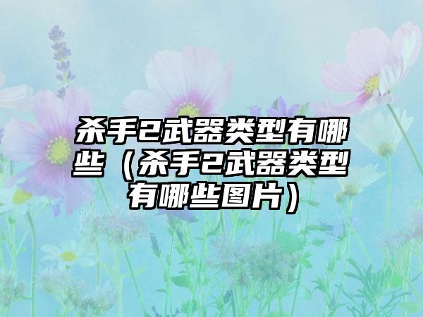 杀手2武器类型有哪些（杀手2武器类型有哪些图片）