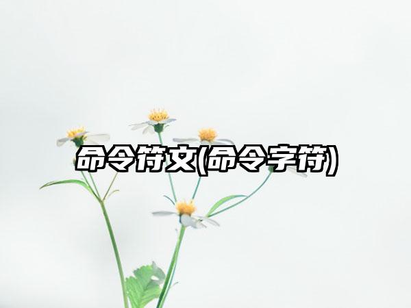 命令符文(命令字符)