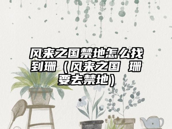 风来之国禁地怎么找到珊（风来之国 珊要去禁地）