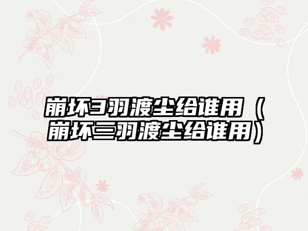 崩坏3羽渡尘给谁用（崩坏三羽渡尘给谁用）