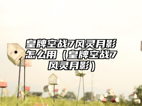 皇牌空战7风灵月影怎么用（皇牌空战7风灵月影）