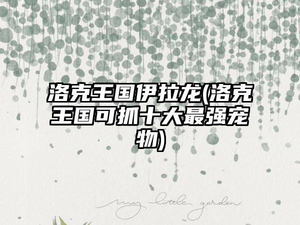 洛克王国伊拉龙(洛克王国可抓十大最强宠物)