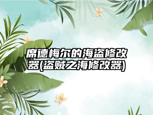 席德梅尔的海盗修改器(盗贼之海修改器)