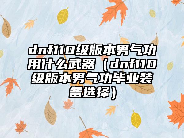 dnf110级版本男气功用什么武器（dnf110级版本男气功毕业装备选择）