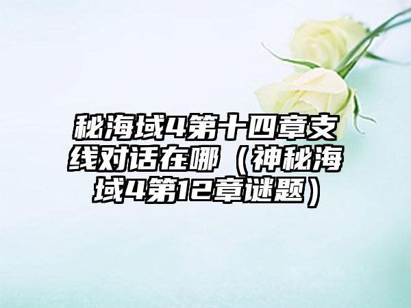 秘海域4第十四章支线对话在哪（神秘海域4第12章谜题）