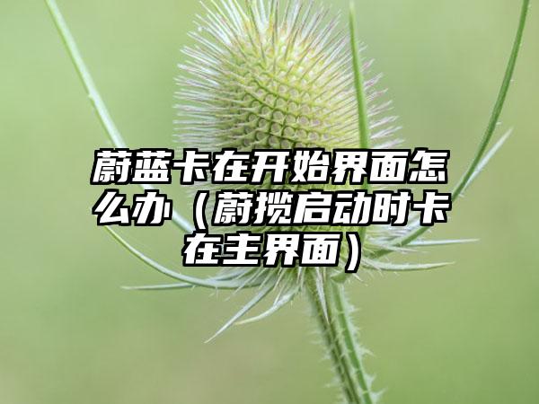 蔚蓝卡在开始界面怎么办（蔚揽启动时卡在主界面）
