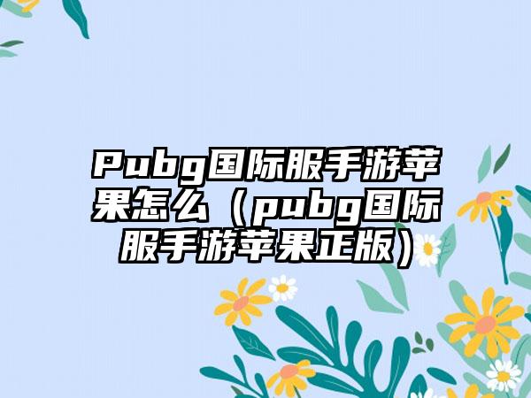 Pubg国际服手游苹果怎么（pubg国际服手游苹果正版）