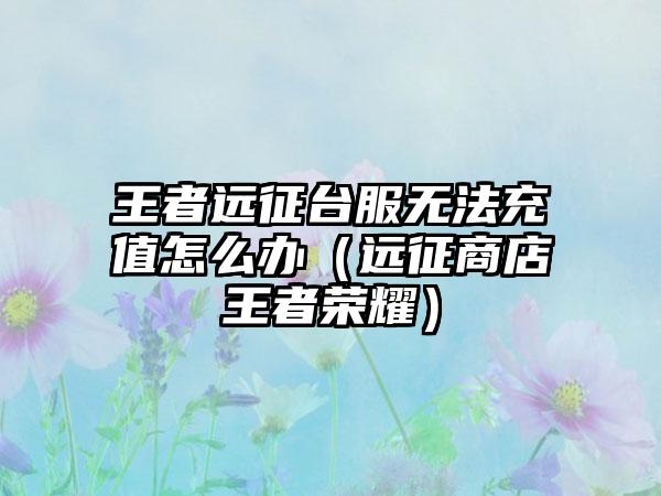 王者远征台服无法充值怎么办（远征商店王者荣耀）