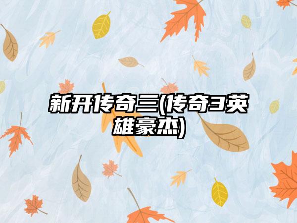 新开传奇三(传奇3英雄豪杰)