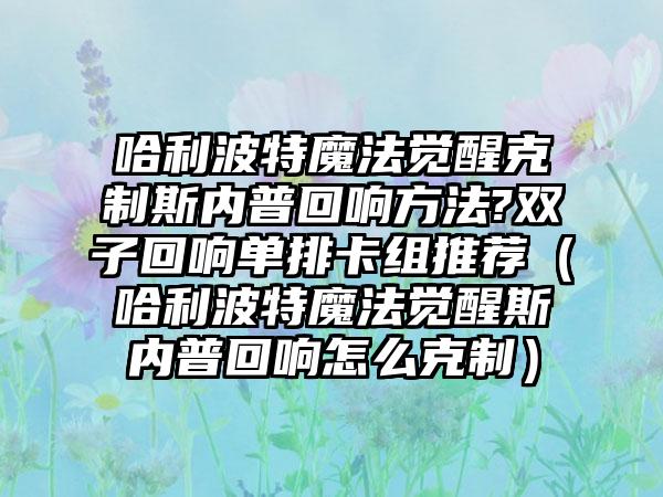 哈利波特魔法觉醒克制斯内普回响方法?双子回响单排卡组推荐（哈利波特魔法觉醒斯内普回响怎么克制）