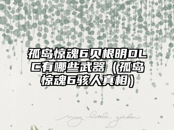 孤岛惊魂6贝根明DLC有哪些武器（孤岛惊魂6骇人真相）