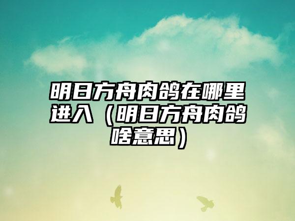 明日方舟肉鸽在哪里进入（明日方舟肉鸽啥意思）