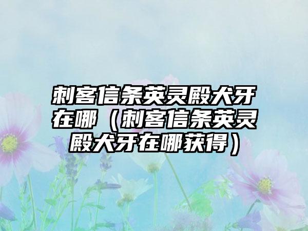 刺客信条英灵殿犬牙在哪（刺客信条英灵殿犬牙在哪获得）