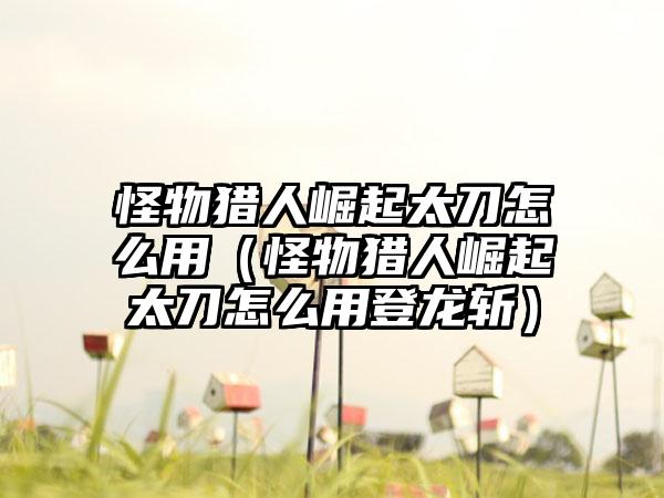 怪物猎人崛起太刀怎么用（怪物猎人崛起太刀怎么用登龙斩）