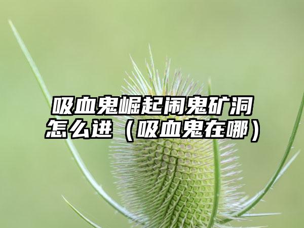 吸血鬼崛起闹鬼矿洞怎么进（吸血鬼在哪）