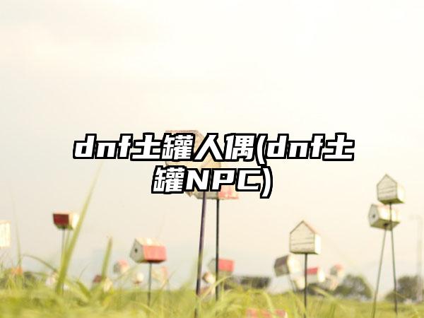 dnf土罐人偶(dnf土罐NPC)