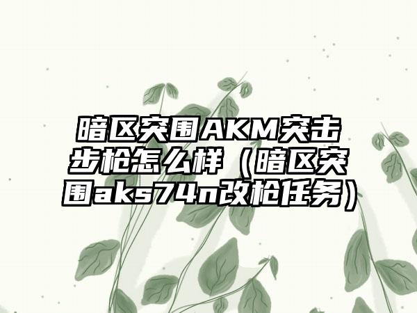 暗区突围AKM突击步枪怎么样（暗区突围aks74n改枪任务）