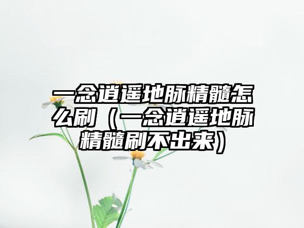 一念逍遥地脉精髓怎么刷（一念逍遥地脉精髓刷不出来）