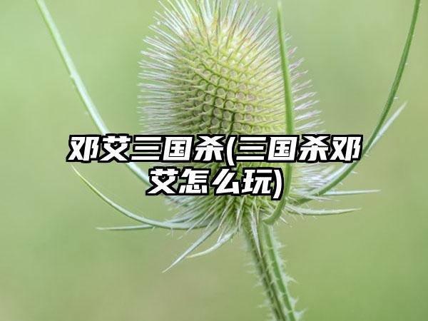 邓艾三国杀(三国杀邓艾怎么玩)