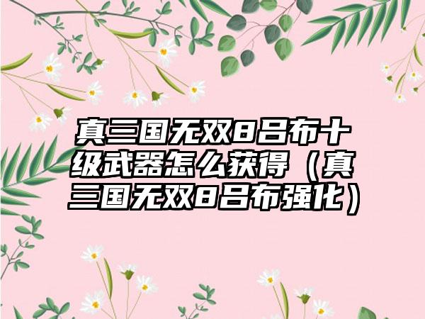 真三国无双8吕布十级武器怎么获得（真三国无双8吕布强化）