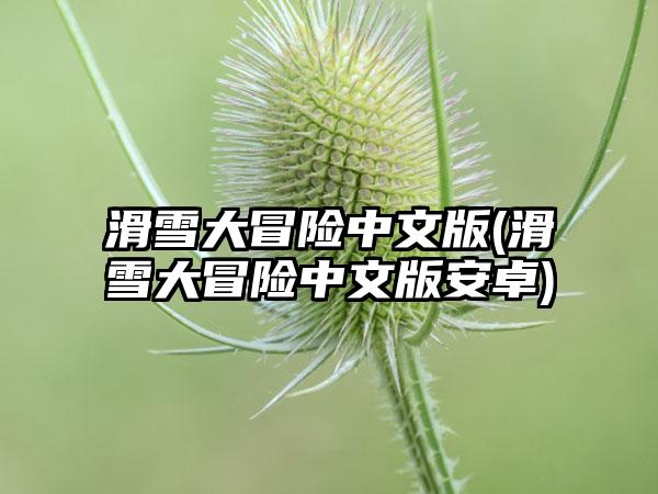 滑雪大冒险中文版(滑雪大冒险中文版安卓)