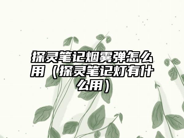 探灵笔记烟雾弹怎么用（探灵笔记灯有什么用）