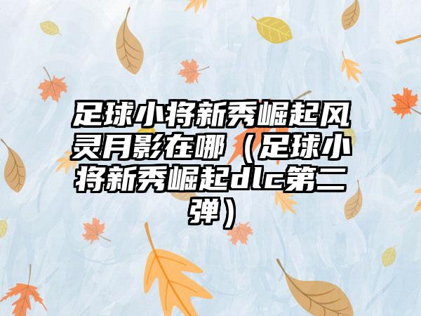 足球小将新秀崛起风灵月影在哪（足球小将新秀崛起dlc第二弹）