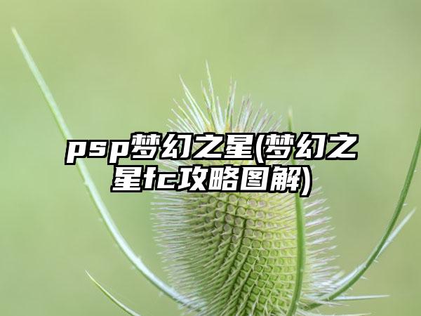 psp梦幻之星(梦幻之星fc攻略图解)