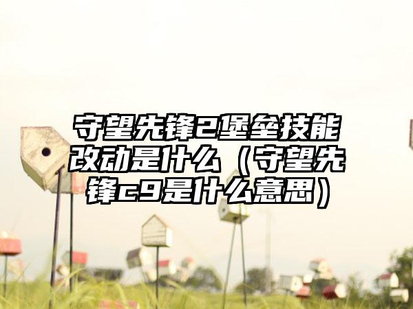 守望先锋2堡垒技能改动是什么（守望先锋c9是什么意思）