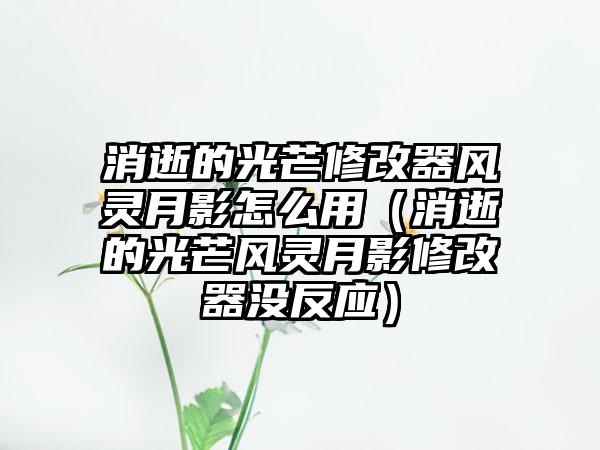 消逝的光芒修改器风灵月影怎么用（消逝的光芒风灵月影修改器没反应）