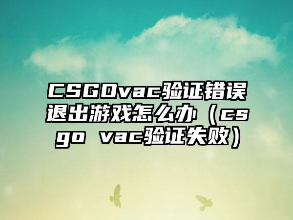 CSGOvac验证错误退出游戏怎么办（csgo vac验证失败）