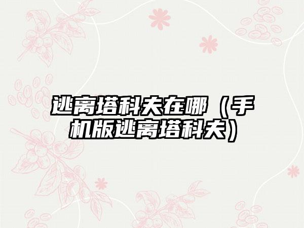 逃离塔科夫在哪（手机版逃离塔科夫）