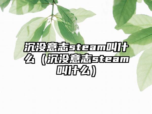沉没意志steam叫什么（沉没意志steam叫什么）