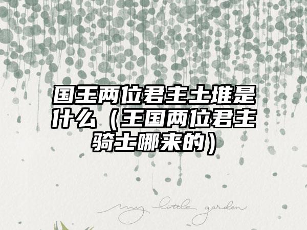 国王两位君主土堆是什么（王国两位君主骑士哪来的）