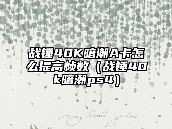 战锤40K暗潮A卡怎么提高帧数（战锤40k暗潮ps4）