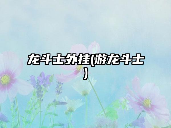 龙斗士外挂(游龙斗士)