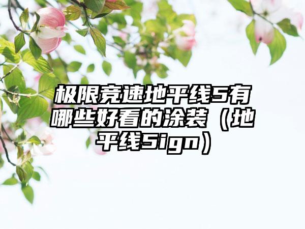 极限竞速地平线5有哪些好看的涂装（地平线5ign）